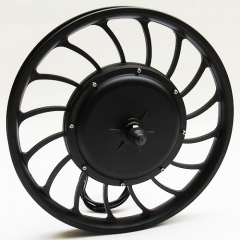 20 inch 48V 52V 1000W front casted hub electric bike motor wheel