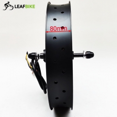 20 inch 48V 52V 2000W rear hub motor - Beach Snow Fat Tire bike conversion kit